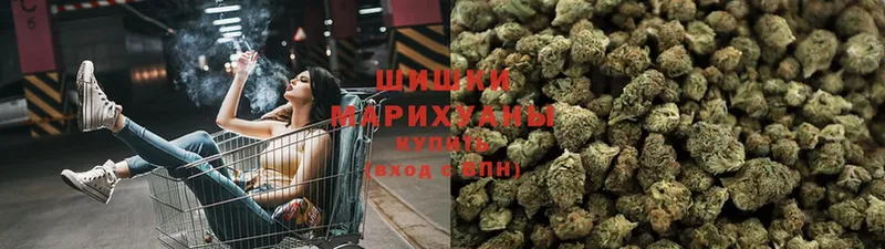 Марихуана Bruce Banner  наркота  MEGA маркетплейс  Пучеж 